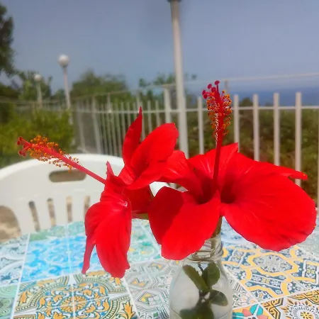 Dafne * Cefalù